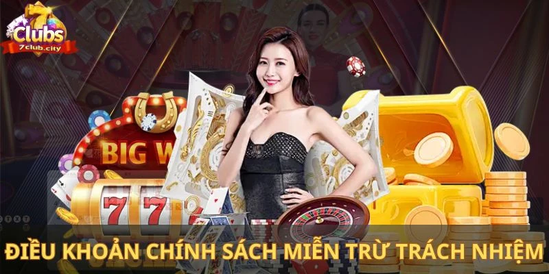 Những điều khoản có ở chính sách miễn trừ trách nhiệm