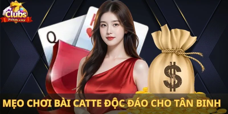 Mẹo chơi bài catte độc đáo cho tân binh