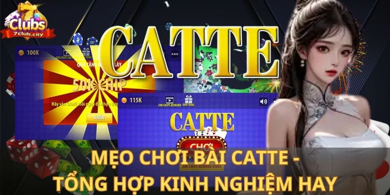 Mẹo chơi bài Catte - Tổng hợp kinh nghiệm hay