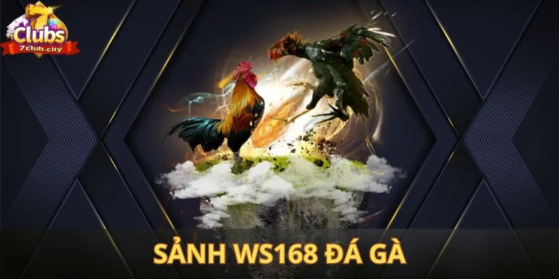 Tìm hiểu thiên đường giải trí hàng đầu châu Á về sảnh WS168 đá gà
