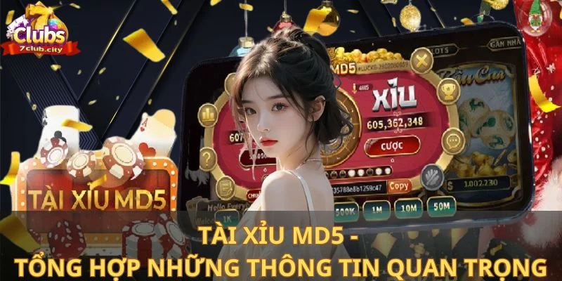 Tài xỉu MD5 - Tổng hợp những thông tin quan trọng