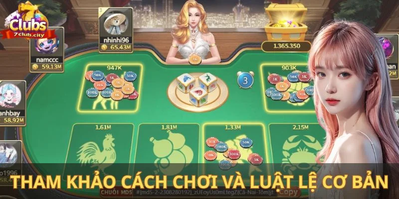 Tham khảo cách chơi và luật lệ cơ bản khi chơi bầu cua